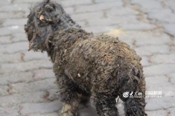 突發(fā)！青島一居民樓發(fā)生爆燃！已造1人死亡，7人受傷！3公里外有震感…