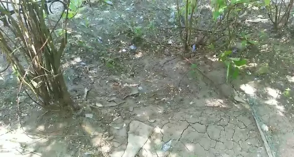 今晨，大慶經五街2-41號樓二單元一樓發(fā)生燃氣爆炸！