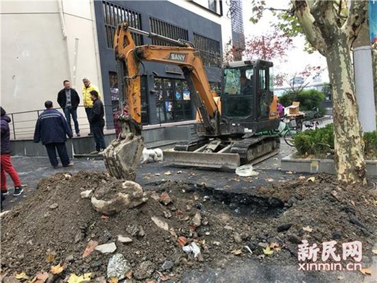 圖片說明:挖掘機現(xiàn)場作業(yè) 圖片均為新民晚報新民網(wǎng)陳浩攝