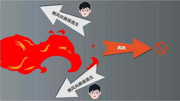 【動畫】森林草原防火“十不準(zhǔn)”“五不燒”！這些安全知識要牢記
